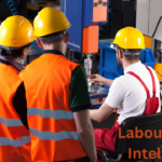 Labour Market Intelligence